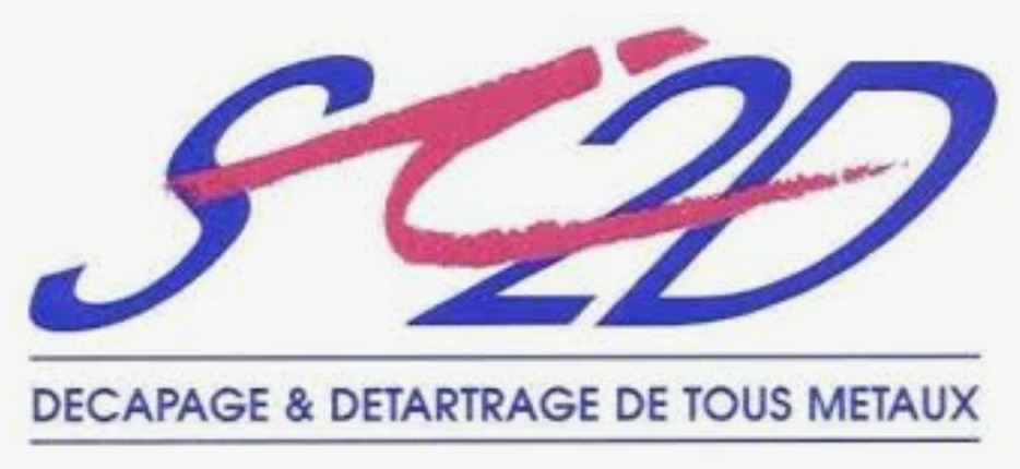 Logo Si2D