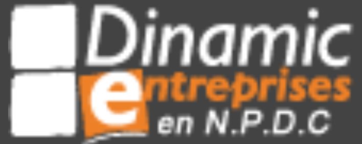 Logo Dinamic Entreprise